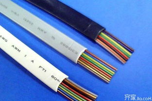 電話線芯數全解析 常見類型與用途詳解